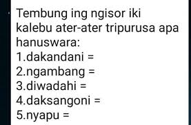 We did not find results for: Help Me Please Bahasa Jawa Kelas 4 Sdsoal Ada Di Gambarngawur Dan Copas Akan Di Report 10 Poin Brainly Co Id