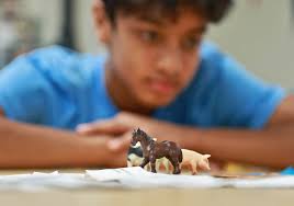 Middle and Upper Schoolers Connect Over Shared Book