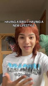 House Pet Pigeon Club