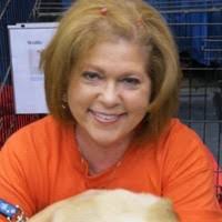 30+ "Sue Toney" profiles