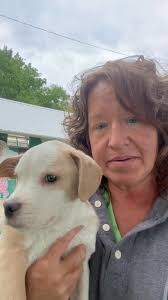 Edgar County Animal Shelter...