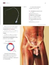 Ensayo.icu casilda paco el chato tareas cuarto grado, tareas de ciencias naturales para primer grado rufino. Tema 3 Funcionamiento De Los Aparatos Sexuales Y El Sistema Glandular Ayuda Para Tu Tarea De Ciencias Naturales Sep Primaria Quinto Respuestas Y Explicaciones