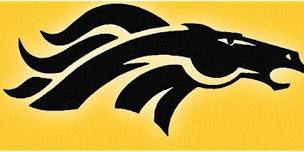 Clintondale Girls Varsity Volleyball @ Sterling Heights
