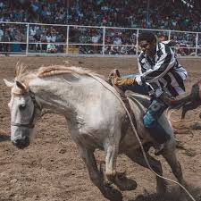 List Of Angola Prison Rodeo Pictures And Angola Prison Rodeo