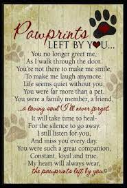 When someone close to you dies, you are instantly surrounded by friends. 7 Quotes That Ll Help You Cope With Losing Your Pet Pet Loss Grief Sympathy Quotes Pawprints Left By You