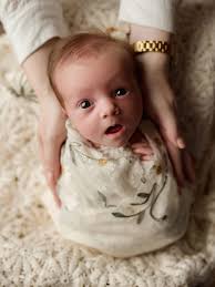 Sandi Petersen Photography