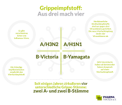 De phase 3 pour la maladie de crohn ; Grippe Der Vierfachimpfstoff Pharma Fakten