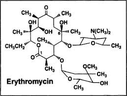 Dance & night club in valencia. The Macrolides Erythromycin Clarithromycin And Azithromycin Mayo Clinic Proceedings