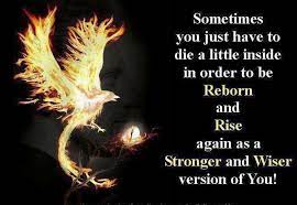 A Fire Eagle Soar Baby Rebirth Quotes Phoenix Quotes Inspirational Quotes