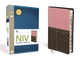 Research has demonstrated failure of niv is more likely with severe acidosis (keenan, mehta, 2009, pam et al, 2009) and following case study reviews conducted in ed, it was concluded that ett was a more appropriate treatment for these two patients. Niv Study Bible Leathersoft Pink Brown Red Letter Thumb Indexed Zondervan Amazon Com Books