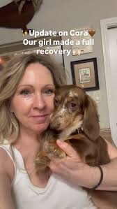 Clara's good at multitasking🤣🤣Does your dachshund have a fave  toy?🫶🏻#dachshund #dachshundlove #piebalddachshund #dachshundmom #doxie  #doxiesofinstagram