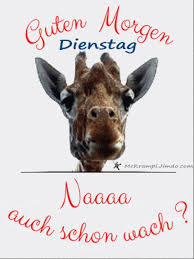 Weitere ideen zu dienstag, dienstag grüße, guten morgen dienstag. Guten Morgen Bilder Dienstag Gif Gb Bilder Gb Pics Gastebuchbilder