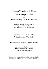 Image result for Buchnera longispicata