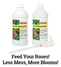 This Pump Is Genius Fertilizer Rose Bush Care Shade Landscaping