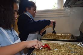 Kitchen Notebook: Fruit and Yogurt Parfaits with Homemade Granola