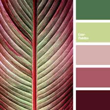 This color's complement is #008080, which is the opposite on the color wheel. Color Palette 2592 Maroon Color Palette Color Balance Color Palette