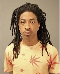 ᐅ Illinois Criminal Records 2009-2025