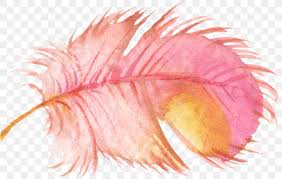 5 out of 5 stars. Bird Feather Watercolor Painting Clip Art Png 1663x1055px Bird Art Close Up Eyelash Feather Download Free
