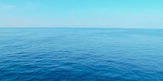 Walk the streets of turquesa, explore the ruins of an ancient fort or just chill. Sargasso Sea The Ocean Foundation