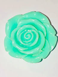 Birthday, love and romance, sympathy, get well, congratulations Mint Green Flower Attractable Attractables