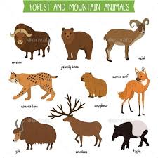 Forest And Mountain Animals Isolated Vector Set Capybara Animal Infographic Cartoon Styles