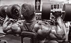 Best 40+ Army Bodybuilding Wallpaper on HipWallpaper | Beast Bodybuilding  Wallpaper, Bodybuilding Wallpaper and Bodybuilding Motivation Wallpaper