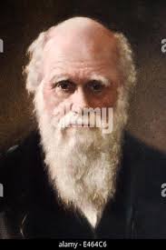 Sidney hunt hi-res stock photography and images