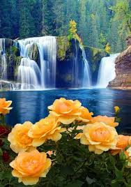 Pin By Ria On 1 A File General Beautiful Flowers Wallpapers Beautiful Landscapes Beautiful Nature