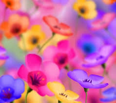 Een Mooie Achtergrond Bloemen Foto S Bloem Achtergronden Bloem Behang
