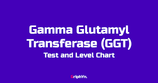 gamma glutamyl transferase ggt test and level chart griphyn