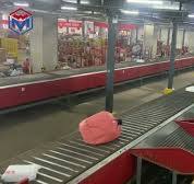 Narrow Belt Sorter/Linear Parcel Sorter Conveyor