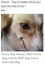 Los efectos que usaron el mundo para los increíbles memes de doge. 30 Funny Cute Clean Memes Factory Memes