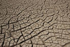 Earth In The Rann Of Kutch Cracking As It Dries Patterns In Nature Effects Of Global Warming Earth