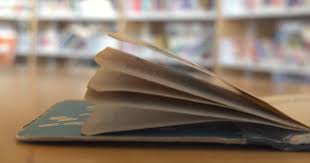 Little Chute Public Library is celebrating its first birthday