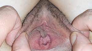 Pornhub