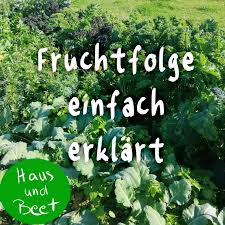 Pin Auf Gemuse Anbauen