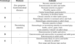 Clostridium perfringens (clostridium cellulitis) clostridium perfringens infection can cause a crepitant cellulitis of the subcutaneous tissue, possibly muscle, following traumatic tissue injury associated with soil contamination (table 49.7). Diseases Produced By Toxigenic Types Of Clostridium Perfringens Download Table