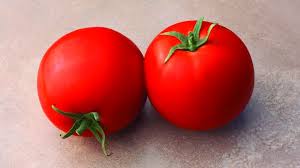 Tomato fruits are round with white shoulder segment firm fruits;uniform fruit size over multiple picking average fruit weight: 10 Tomato Varieties You Need To Know Growing Produce