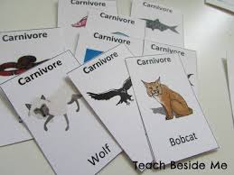 The The Food Chain Game Printable Food Chain Game Food Chain Food Chain Activities
