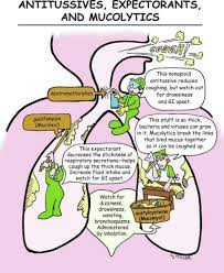 Pin On Nursing Notes