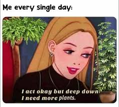 Becky's Kitchen Products Available Today! Order yours Now! 😉🥳