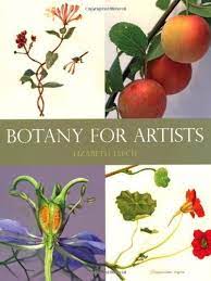 Botany For Artists By Lizabeth Leech Http Www Amazon Com Dp 1847972780 Ref Cm Sw R Pi Dp Kzxkqb1mq0j9n Botany Books Botany Botanical Flowers
