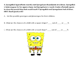 What are the possible genotypes and phenotypes for the offspring? Sponge Bob Genetics 1 Review To Be Used