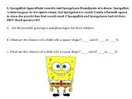 Spongesusie roundpants spongebob genetics answer key. Sponge Bob Genetics I Love Mr V Class