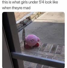 Omgosh The Short Struggle Is Real Kirby Memes Cute Memes Funny Memes