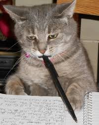 Profile for The Brunsville Blitz