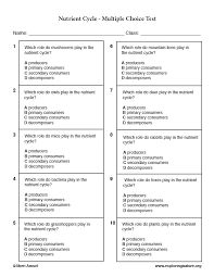 Trivia quizzes are a great way to work out your brain, maybe even learn something new. Grouping Animals By Class Grade 3 5 Multiple Choice