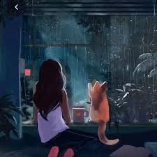Wallpaper animasi burung dengan suara. Video Beautiful Rainy Night Di 2020 Seniman Jalanan Gambar Bergerak Fotografi Matahari Terbit