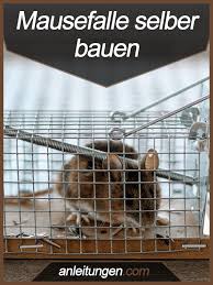 Mausefalle Selber Bauen Du Mochtest Die Mause Nicht Toten Aber Sie Dennoch Aus Deinem Haus Entfernen Dann Mausefalle Selber Bauen Selber Bauen Mausefallen