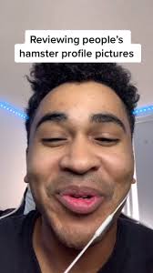 Hamster Profile Picture Original Video